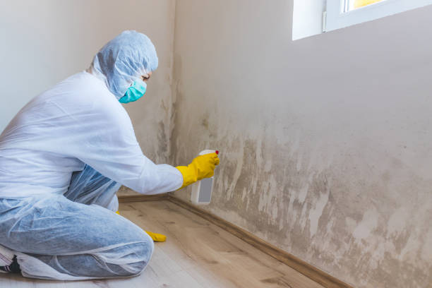 Crawl Space Mold Remediation treatment of floor joists in Laurel