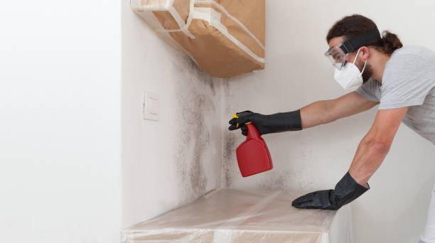 Attic Mold Remediation treatment on roof deck in Laurel